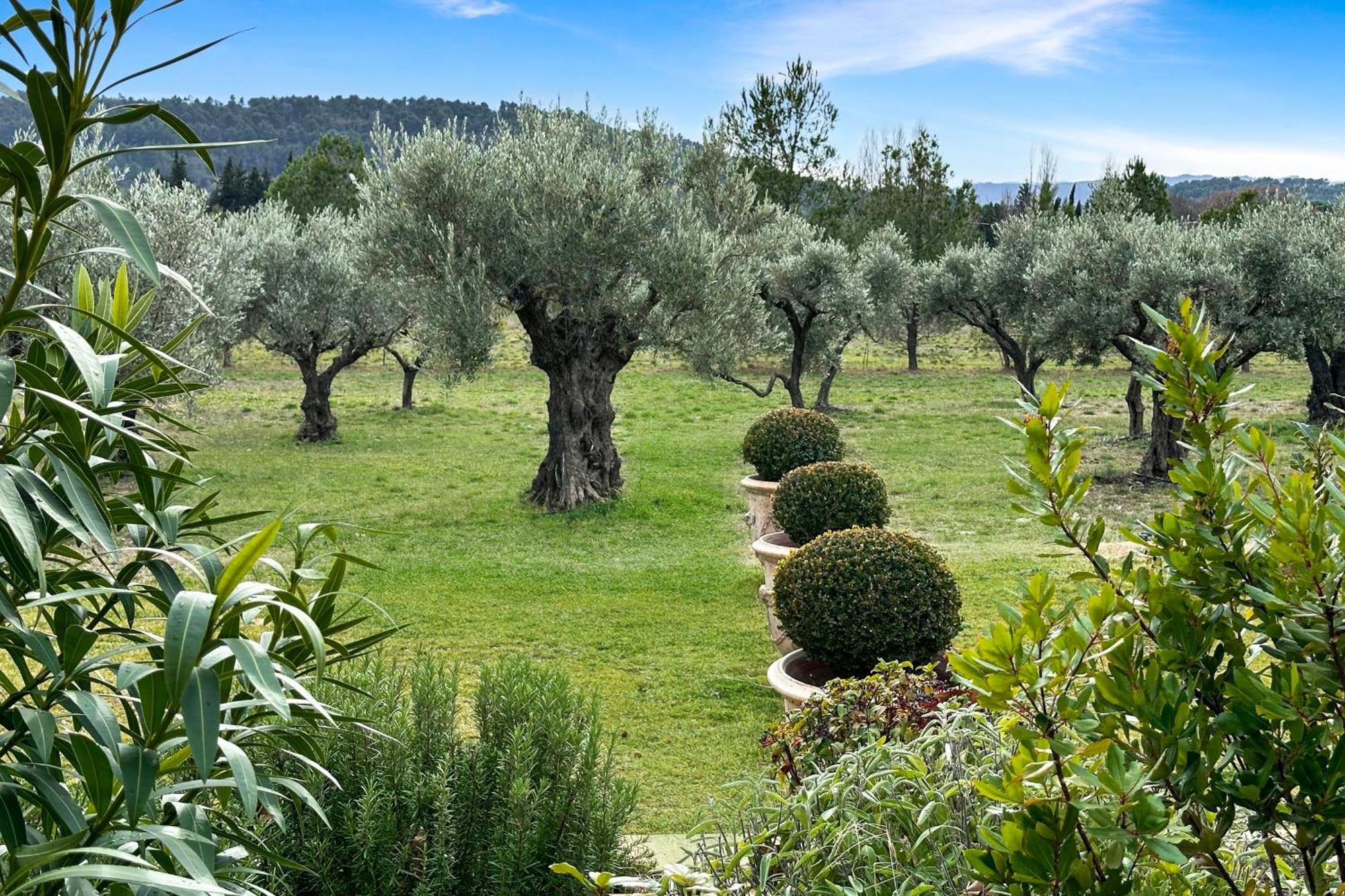 Appartement I Bastide La Graviere I Electio Lourmarin Exterior foto
